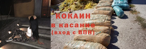ешки Аркадак
