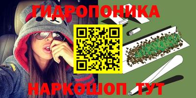 прущие грибы Жуковский