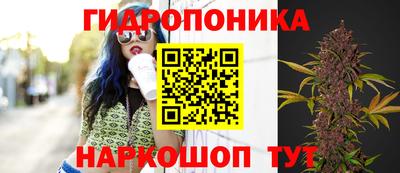тгк Заволжье