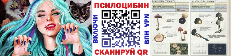 Купить  Ростов-на-Дону  Галлюциногенные грибы Cubensis 