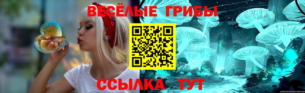 Псилоцибиновые грибы MAGIC MUSHROOMS Ростов-на-Дону